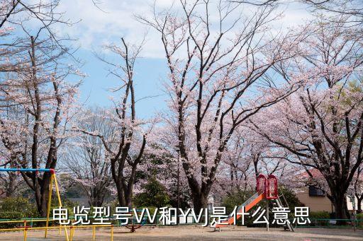 電覽型號VV和YVJ是什么意思