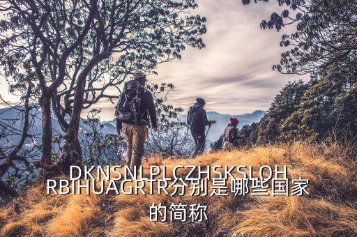 srb是哪個(gè)國(guó)家的縮寫(xiě)，DKNSNLPLCZHSKSLOHRBIHUAGRTR分別是哪些國(guó)家的簡(jiǎn)稱(chēng)