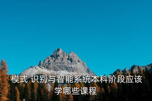  模式 識別與智能系統(tǒng)本科階段應(yīng)該學(xué)哪些課程