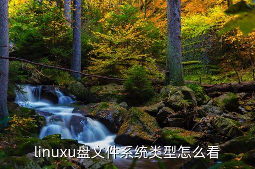 linuxu盤文件系統(tǒng)類型怎么看
