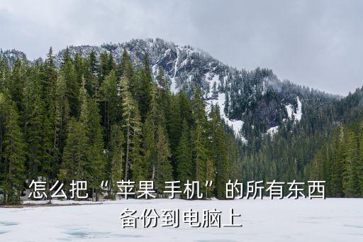 怎么把“ 蘋果 手機(jī)”的所有東西 備份到電腦上