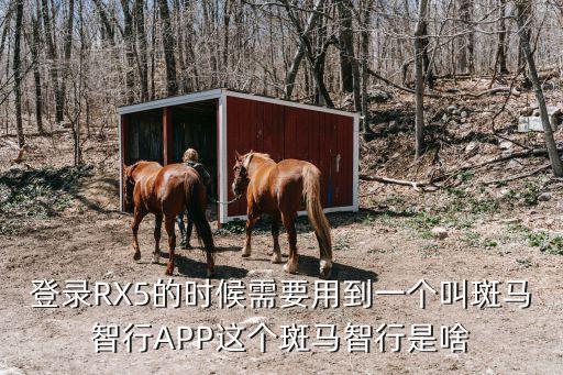 登錄RX5的時(shí)候需要用到一個(gè)叫斑馬智行APP這個(gè)斑馬智行是啥