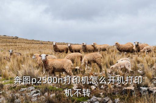 奔圖p2500n打印機(jī)怎么開機(jī)打印機(jī)不轉(zhuǎn)