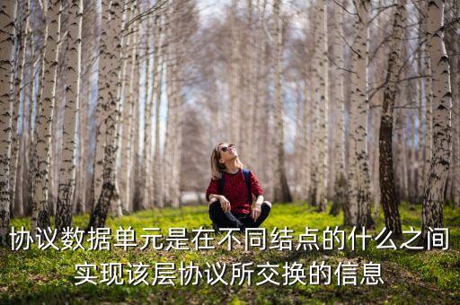協(xié)議數(shù)據(jù)單元是在不同結(jié)點的什么之間實現(xiàn)該層協(xié)議所交換的信息