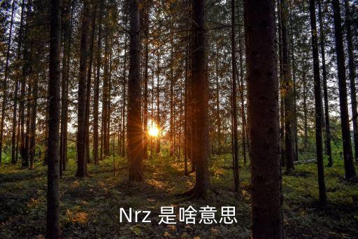 Nrz 是啥意思