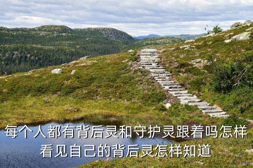 背后是誰，特警力量k2 的幕后老板是誰