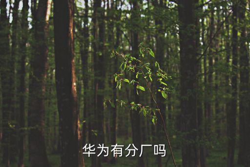 華為子公司，有誰知道華為分公司都分布在深圳哪些地方謝謝