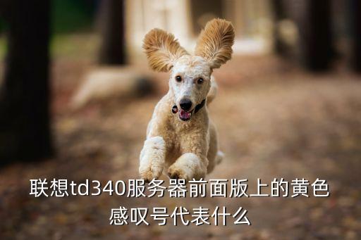 聯(lián)想td340服務(wù)器前面版上的黃色感嘆號代表什么