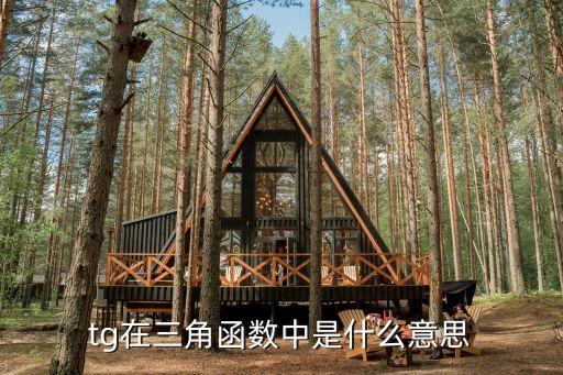 TG值，錄井氣測TG 值是什么