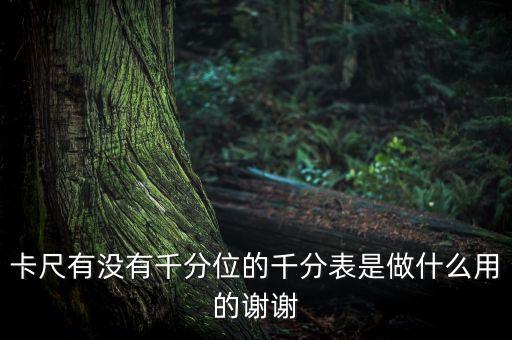 卡尺有沒有千分位的千分表是做什么用的謝謝