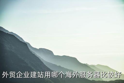 外貿(mào)企業(yè)建站用哪個海外服務(wù)器比較好