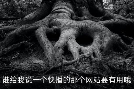 誰給我說一個快播的那個網(wǎng)站要有用哦
