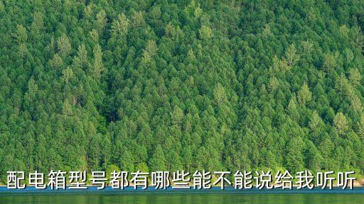 配電箱型號(hào)都有哪些能不能說給我聽聽
