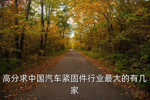 高分求中國(guó)汽車緊固件行業(yè)最大的有幾家
