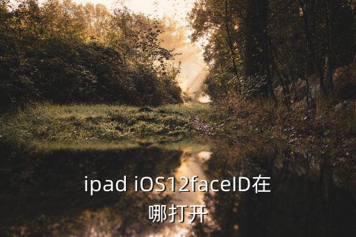 faceid，蘋果faceid可以有幾個