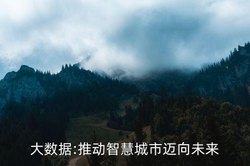 大數(shù)據(jù):推動(dòng)智慧城市邁向未來