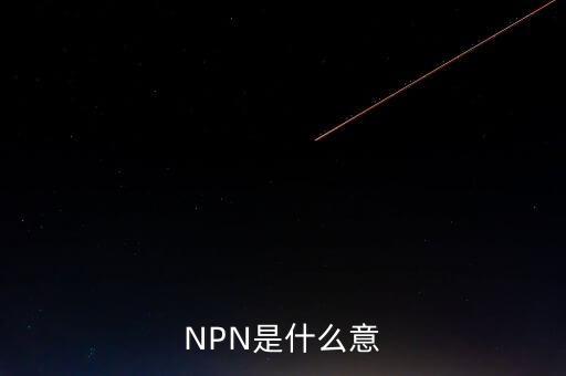 npn是什么意思，NPN是什么意