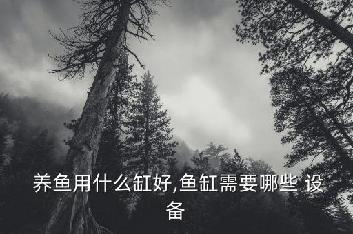  養(yǎng)魚用什么缸好,魚缸需要哪些 設(shè)備