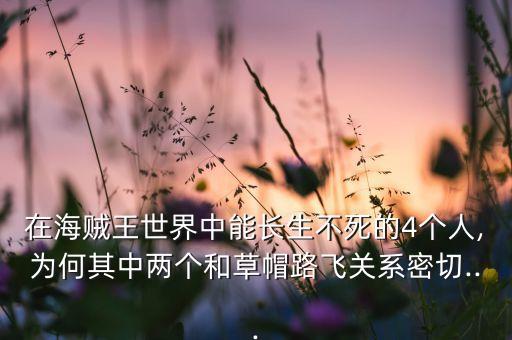 瑞典布魯克機(jī)器人,變態(tài)人也可以叫機(jī)器人布魯克是骷髏吧