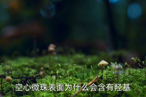 空心微珠表面為什么會含有羥基