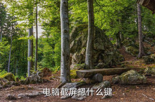 電腦截屏的快捷鍵是什么，電腦截屏用什么快捷鍵