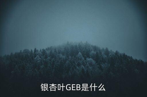 geb，銀杏葉GEB是什么