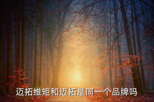 邁拓維矩和邁拓是同一個(gè)品牌嗎