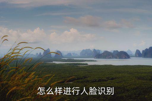 怎么樣進(jìn)行人臉識(shí)別
