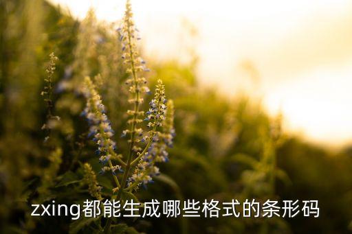 zxing都能生成哪些格式的條形碼