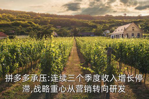 拼多多陳磊
