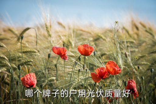 哪個(gè)牌子的戶用光伏質(zhì)量好