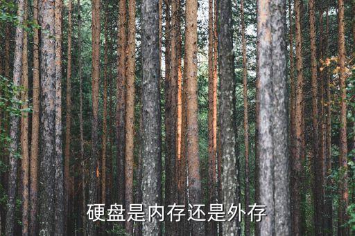 硬盤式靠 來記憶數(shù)據(jù),硬盤是否存儲數(shù)據(jù)?答案揭曉