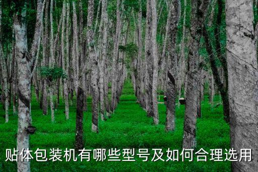 貼體包裝機有哪些型號及如何合理選用