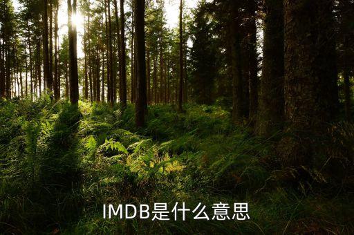 imac是什么，IMDB是什么意思