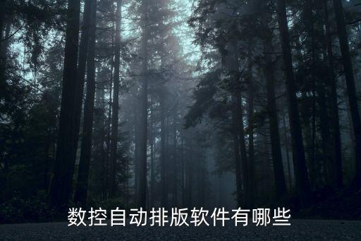 數(shù)控自動(dòng)排版軟件有哪些