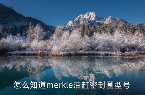 怎么知道m(xù)erkle油缸密封圈型號(hào)