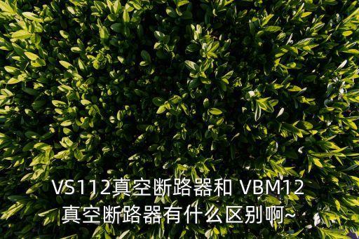 VBM