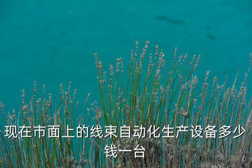 現(xiàn)在市面上的線束自動(dòng)化生產(chǎn)設(shè)備多少錢一臺(tái)
