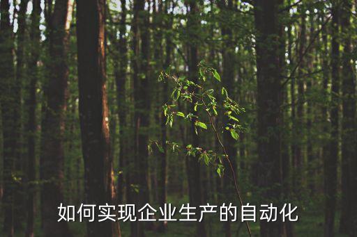 如何實現(xiàn)企業(yè)生產(chǎn)的自動化