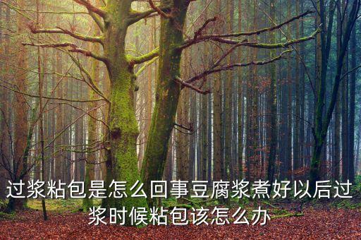 粘包，誰(shuí)知道粘包是什么意思來(lái)報(bào)個(gè)名順便給些解決方法