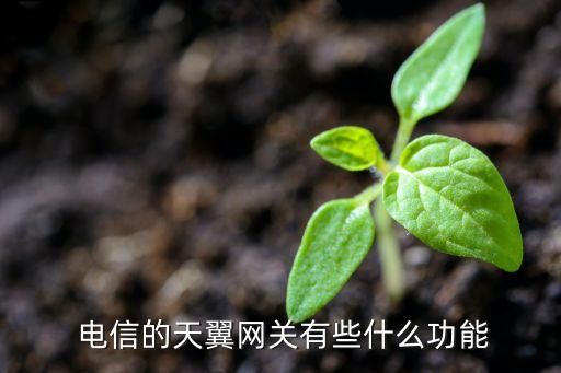  電信的天翼網(wǎng)關(guān)有些什么功能
