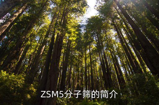 ZSM5分子篩的簡介