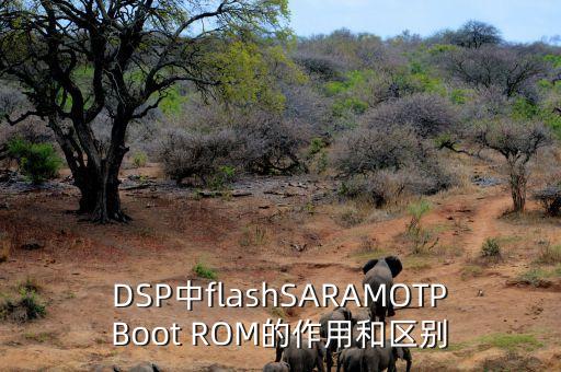 DSP中flashSARAMOTPBoot ROM的作用和區(qū)別