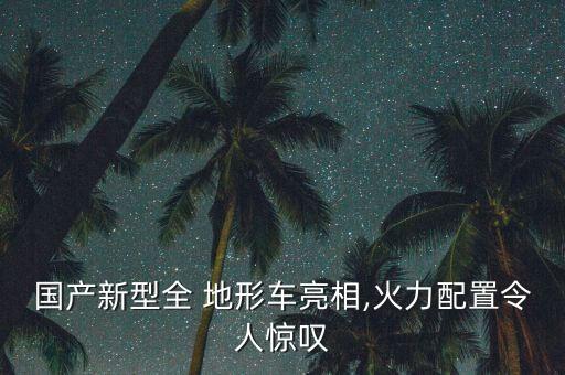 國產(chǎn)新型全 地形車亮相,火力配置令人驚嘆