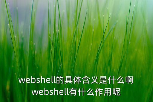 webshell，webshell的具體含義是什么啊webshell有什么作用呢