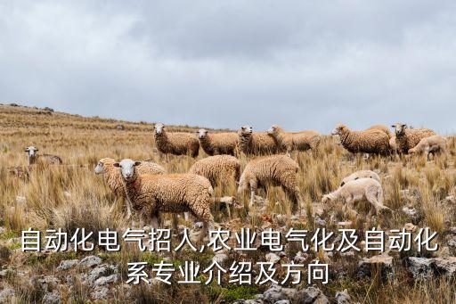 四川自動(dòng)化電氣招人,農(nóng)業(yè)電氣化及自動(dòng)化系專業(yè)介紹及方向