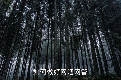 如何做好網(wǎng)吧網(wǎng)管