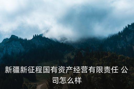 新疆新征程國有資產(chǎn)經(jīng)營有限責任 公司怎么樣