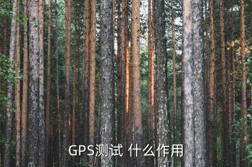 GPS測試 什么作用