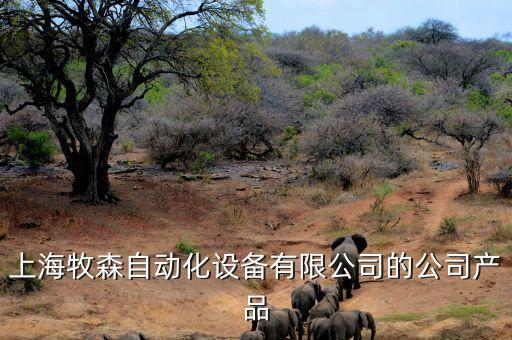上海牧森自動(dòng)化設(shè)備有限公司的公司產(chǎn)品